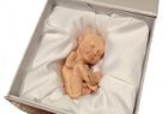 3D Babies, el servicio de impresión de bebés en 3D