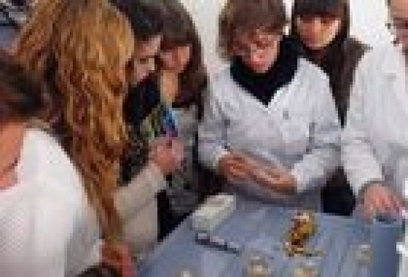 El proyecto 'Biotechnofarm' llega a la Comunitat para dar a conocer la biotecnología a los alumnos valencianos