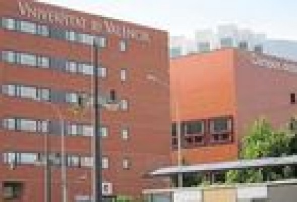 La UV pide que se acaten las sentencias que avalan la unidad lingüística