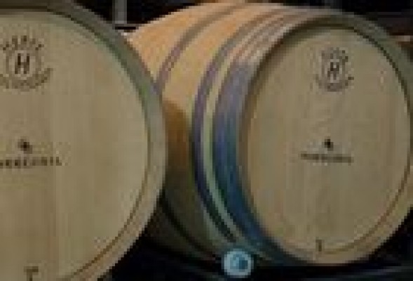 TorreOria-Vintes crece un 60 % en 2013 por el incremento de la exportación