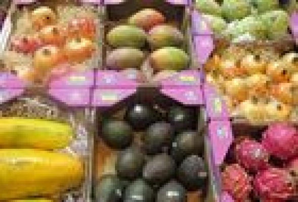 <em>Salvemos las cajas rurales</em>