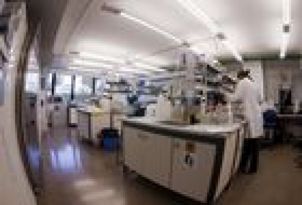 La valenciana VLT Biopharma obtiene una designación de 'medicamento huérfano'