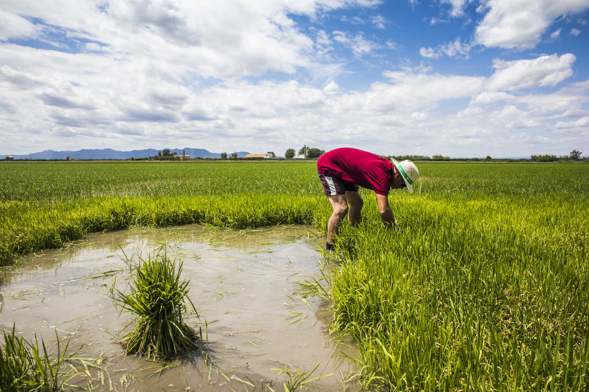 Pedro Alonso y Nacho Fresneda protagonizan la primera película de Marc Virgil