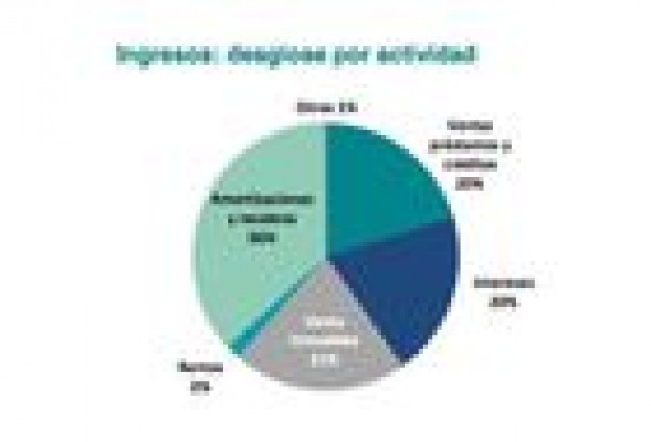 Sareb pierde 261 millones de euros en 2013
