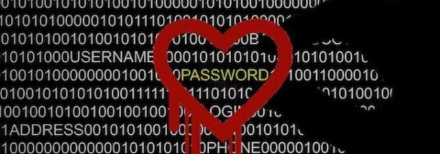 Heartbleed: éstas son las webs afectadas. ¿Qué hacer con ellas?