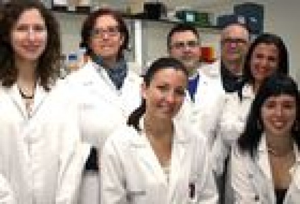 El Hospital Doctor Peset, 1er premio de Investigación en Oftalmología 2013
