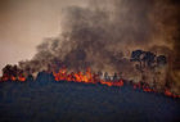 Decretado el estado de preemergencia por riesgo de incendios forestales en la provincia de Valencia