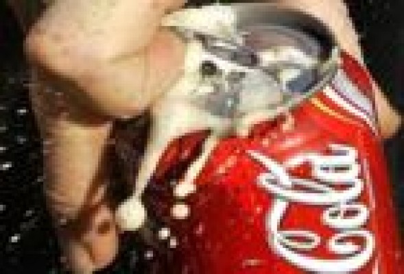 El Congreso rechaza solicitar la paralización del ERE de Coca-Cola