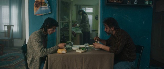 ‘The Pigeon’, Palmera d’Or de la 33º Mostra de València