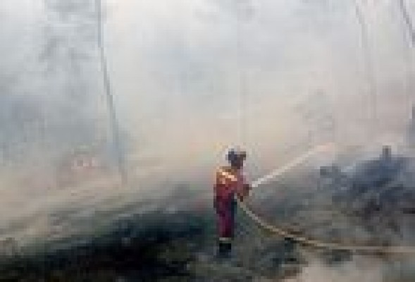 Condenado a 4 años el hombre que causó un incendio forestal en 2012 en Chelva