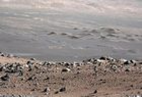 El astrofísico valenciano pasa otra criba para un viaje sin vuelta a Marte