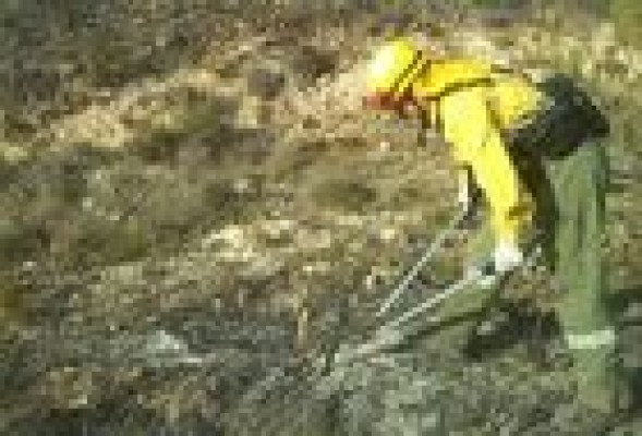 El incendio de Montserrat obliga a desalojar a 12 personas 