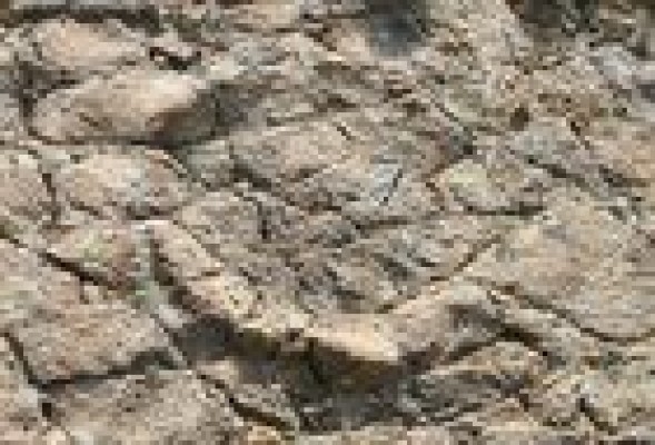 Tras los dinosaurios valencianos: la Generalitat quiere convertir el yacimiento paleontológico Cañada París II en Bien de Interés Cultural