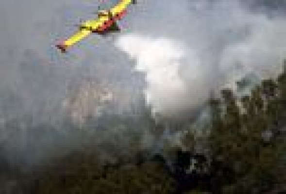 El fuego de Marines afecta a 79 hectáreas y el de Calles a 98
