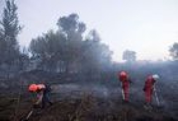 Desalojados 220 chalets diseminados próximos al incendio de Manises
