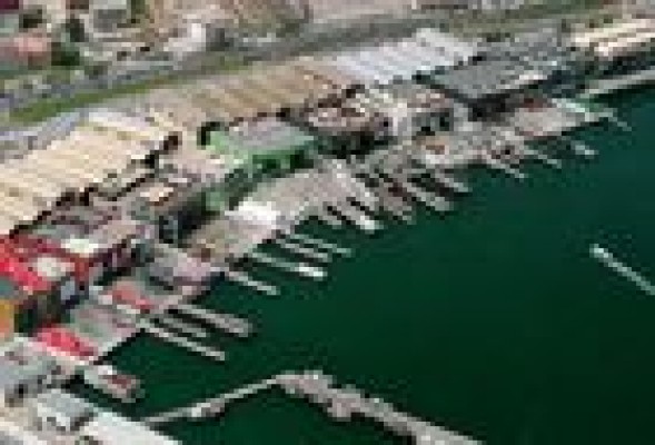 El Consorcio Valencia 2007 licita las primeras demoliciones en la Marina Real