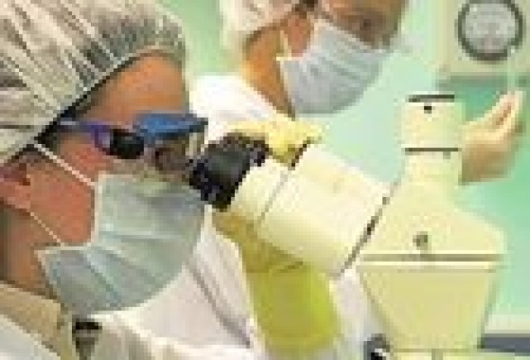 Pharmamar, filial de Zeltia, inicia su actividad comercial en Francia