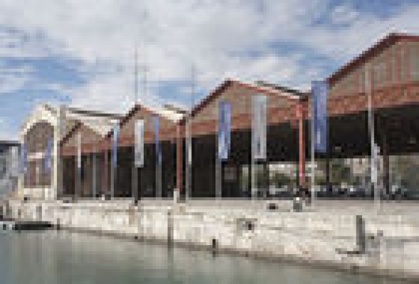 La Marina Real invertirá 1,8 millones en rehabilitar el tinglado número 2, la lonja y las obras de los jardines