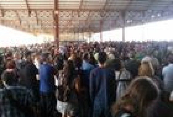 Podemos enseña su músculo en Valencia tras su despunte electoral