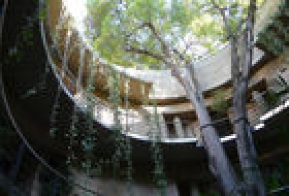 El Jardín Botánico ve la luz al final del túnel