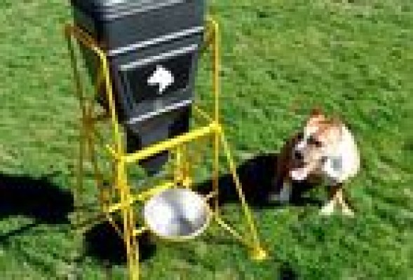 Un invento con el que ya no necesitarás pedir al vecino que te cuide al perro