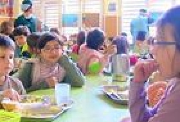 El Síndic relaciona la falta de calidad de algunas escuelas con no tener las infraestructuras mínimas