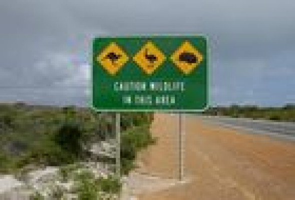 OHL sigue haciéndose fuerte en Australia y consigue otra autopista