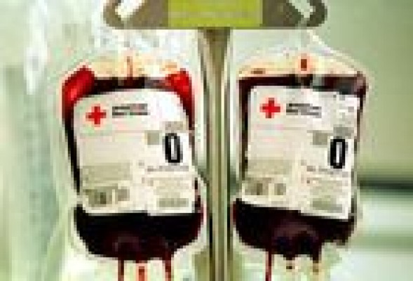 Sin bocadillos para el Centro de Transfusión de Sangre: el concurso queda desierto