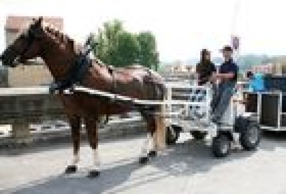 Un pueblo alicantino recupera el carro de caballos para recoger la basura