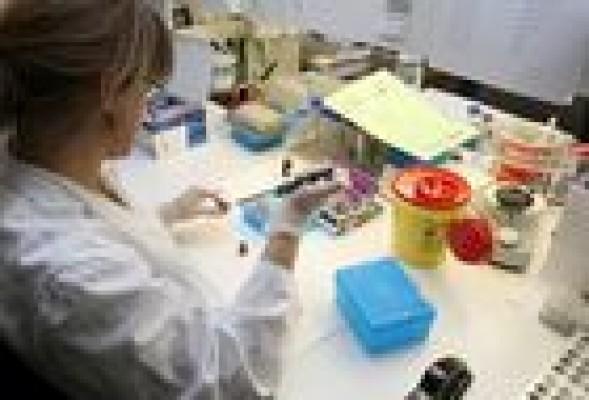 La UV lidera un proyecto europeo para detección precoz del cáncer de páncreas