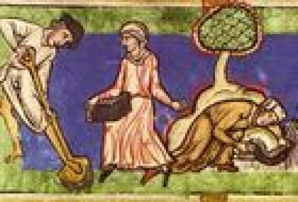 Valencia y el arroz: una historia de amor que dura cientos de años