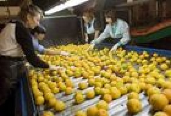 Las exportaciones valencianas encabezan el crecimiento del comercio exterior español