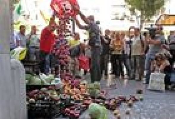 El Consell considera 