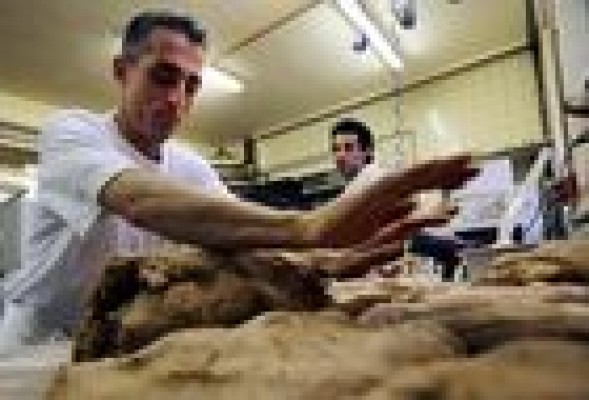 La tarifa plana de 50 euros atrae 270.000 nuevos autónomos