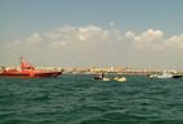El primer arrecife de ecoturismo de España cobra vida en la playa de Valencia