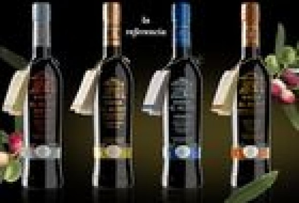 Cuatro aceites valencianos se encuentran entre los 50 mejores del mundo