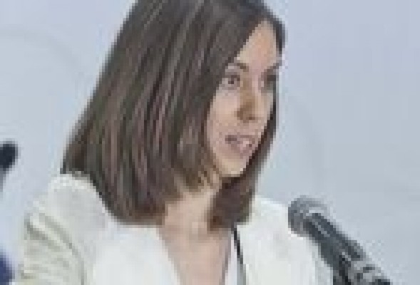 El PSPV de Gandía irá por libre y elegirá su candidato a la alcaldía con primarias abiertas