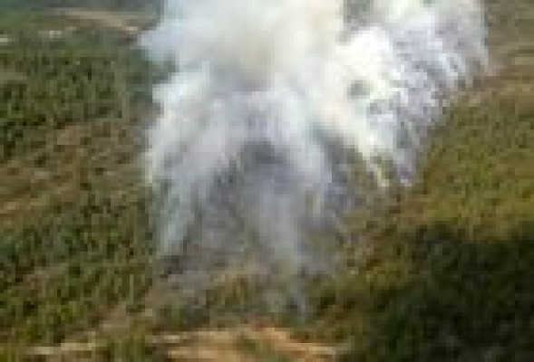 Catorce medios aéreos trabajan en un incendio forestal en Bocairent