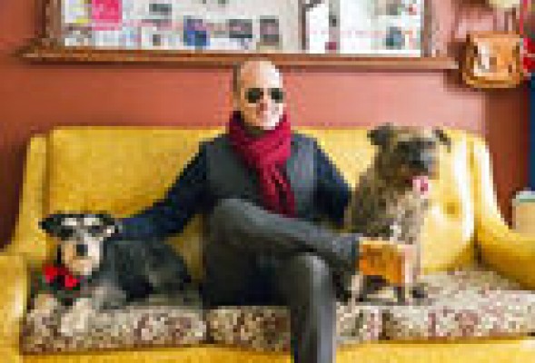 'Shopping' y 7 cosas más que hacer con tu perro en Valencia