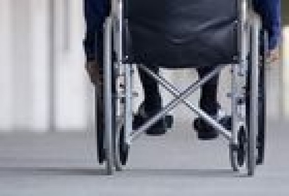 Valencia y Elche, candidatas a 'Capital Europea de la Accesibilidad 2015'