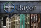 Bayer sacará a bolsa su división de plásticos en 2016 