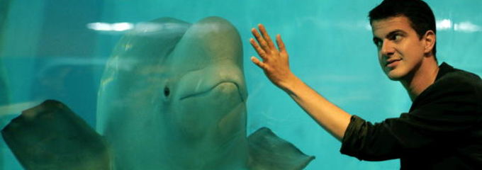 El contratenor Jaroussky interactúa musicalmente con una beluga