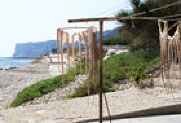 #DIARIOSDECOCINA  Denia en (y desde) Valencia
