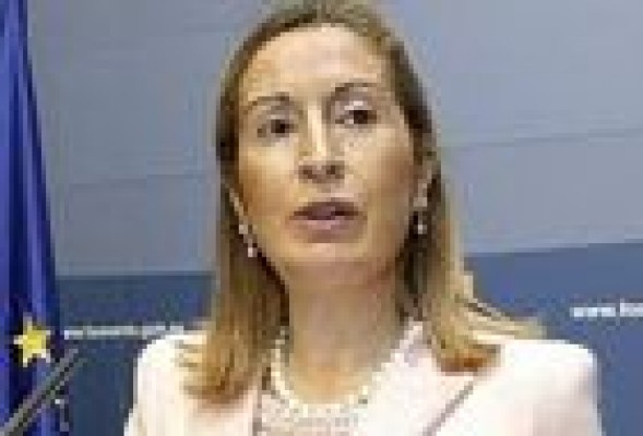 Buch valora que Pastor reciba a los empresarios y confía en que Montoro tambien lo hará