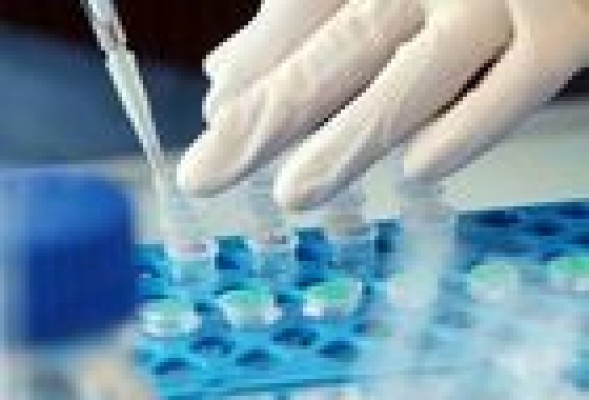 La española Oryzon dice no al MAB para centrarse en el Nasdaq 