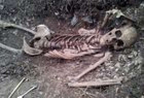 El soldado desconocido no tiene donde ser enterrado
