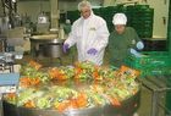 El interproveedor de Mercadona GAC adquiere la participación mayoritaria de Agromediterránea