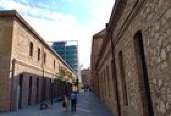 El Consell publica el decreto de carrera profesional y evaluación del desempeño de los funcionarios