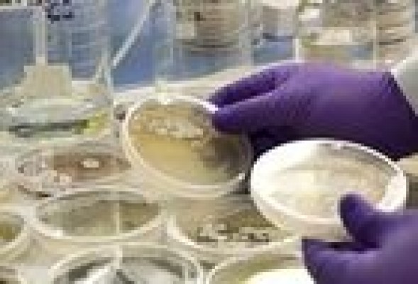 'Subidón' de Zeltia en bolsa tras solicitar el registro de Yondelis ante la FDA