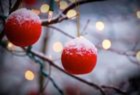 Claves y predicciones gastronómicas para 2015